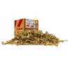 WKRĘTY CIESIELSKIE DO DREWNA 5x40 TORX Stożkowy