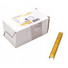 ZSZYWKI ZSZYWACZA Długość 12mm TYP 80 Ga21 A536212