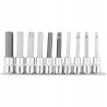 ZESTAW 10 NASADEK IMBUSOWYCH H5-H17 RICHMANN C6922