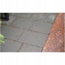 TENZI ZMYWANIE MCHÓW POROSTÓW z kostki brukowej 1L
