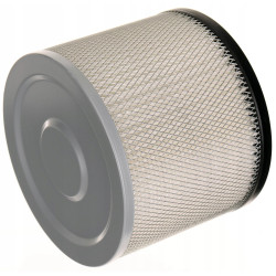Filtr HEPA DED65951