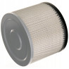 Filtr HEPA DED65951
