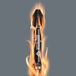 Grot TORX TX30/050mm WERA WEA-867-057666