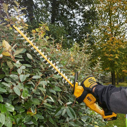 DEWALT.NOŻYCE DO ŻYWOPŁOTU 18V DCMHT563