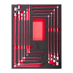 Wkład z kluczami z rękojeścią T, 10 elementów Milwaukee 4932499295